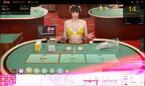 เสือมังกร AE Casino