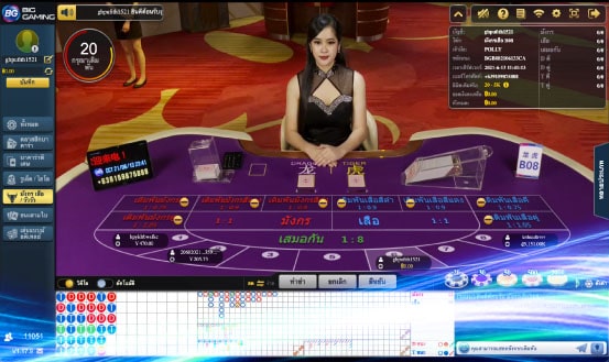 เสือมกรใหม่ BG Casino
