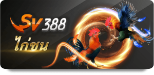 แทงไก่ชน UFABET