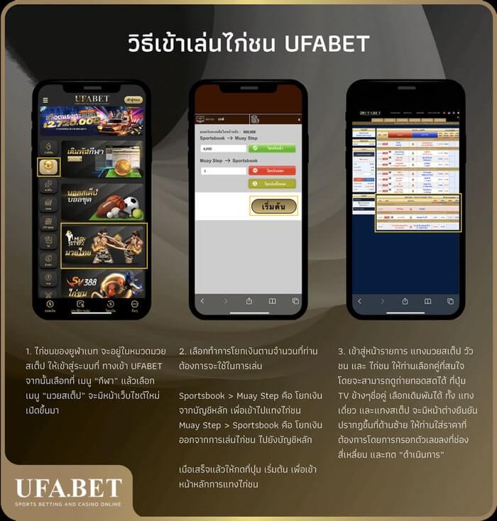 วิธีเข้าเล่นไก่ชนUFABET