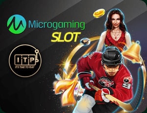 Microgaming Slot