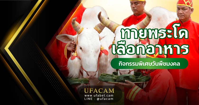 กิจกรรม วันพืชมงคล ทายอาหาร พระโคเสี่ยงทาย
