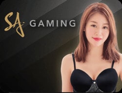 SA Gaming เอสเอเกมมิ่ง
เล่นแล้วได้เงินจริง ฝาก-ถอน ออโต้ บริการดี