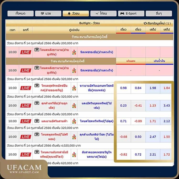 ราคาน้ำวัวชน น้ำแดง และ น้ำเงิน ราคาผ่านการคำนวณมาอย่างเที่ยงตรง ยุติธรรม แทงได้อย่างมั่นใจ ปลอดภัย ไม่มีที่ไหนให้ราคาดีไปกว่านี้อีกแล้ว